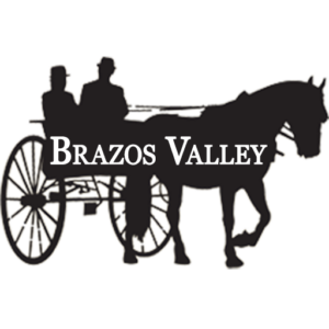 Brazos Valley Driving and Riding Club Logo