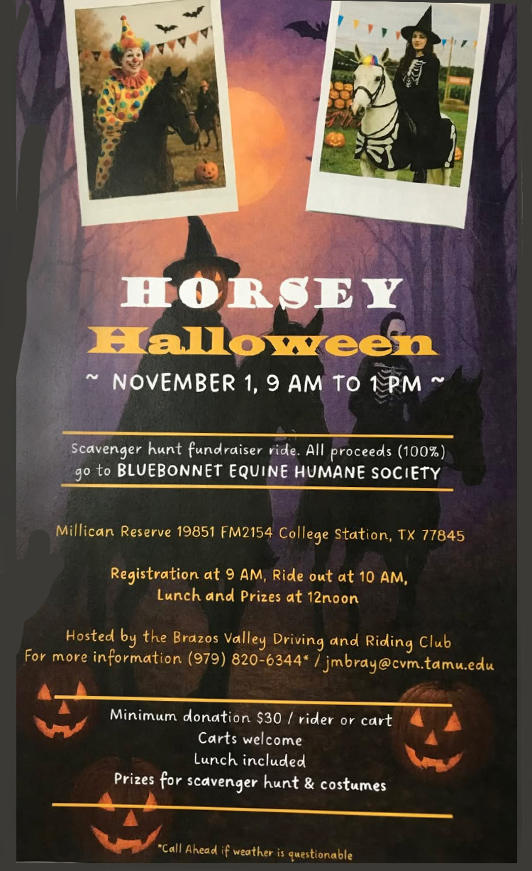 Horsey Halloween poster. Shows two snampshots with horse and rider in costume and gives details about BVDRC's November 1, 2025 Halloween Party. Read text below. It's the same.
